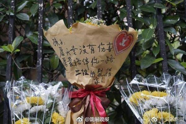 平替鲍威尔！比尔2年1100万无敌性价比 小船变航母这次真要争冠？